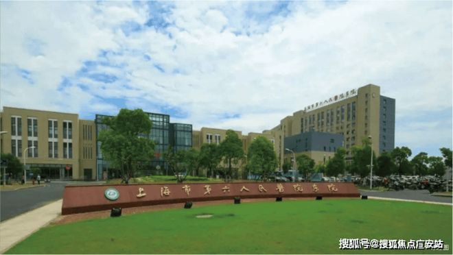 上实听海售楼处发布：临港滨海畔聆听海语绘就浪漫生活画卷(图7)