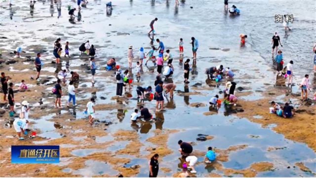 1月14日《直通经开区(图12)