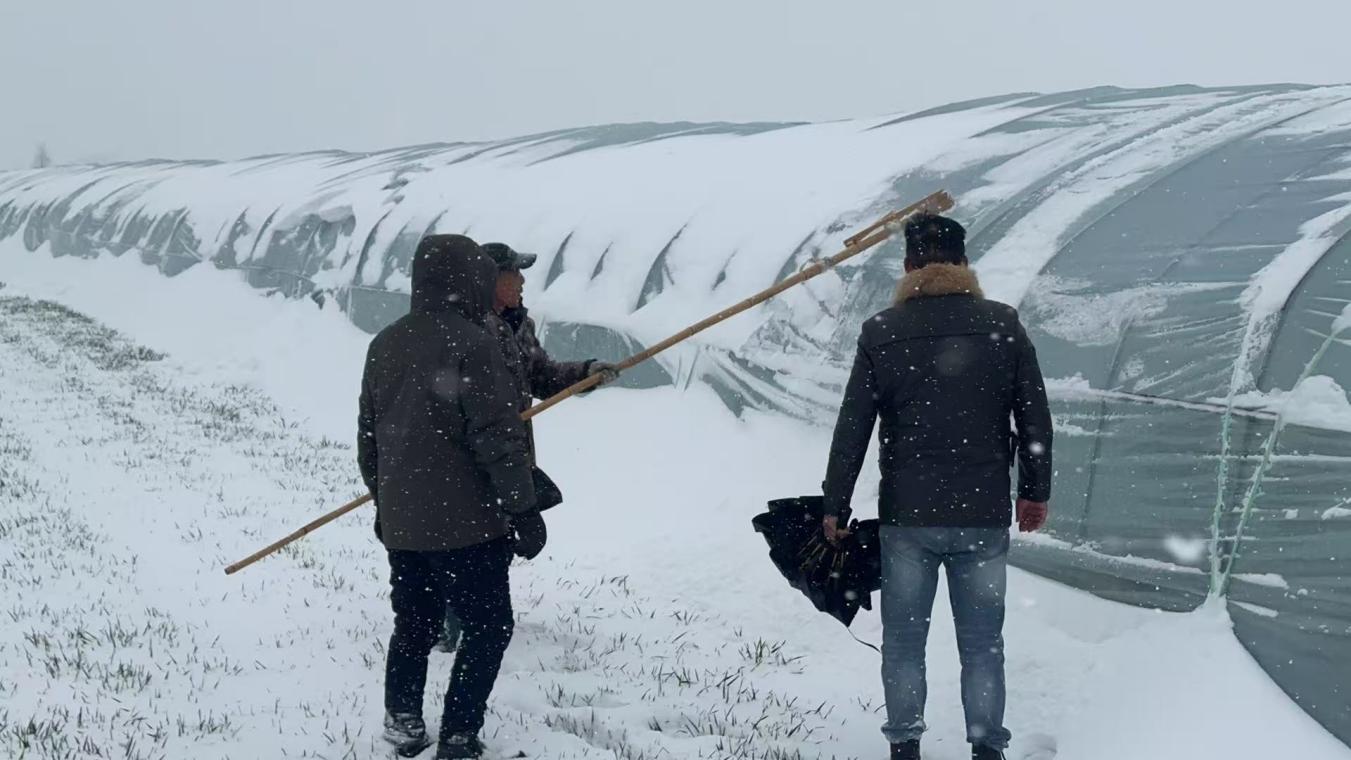 我市各地各部门迎战风雪(图3)