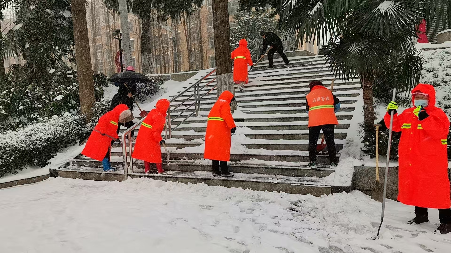 我市各地各部门迎战风雪(图10)