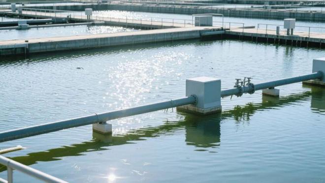 Kaiyun(中国体育):管道阻垢剂的革命性解决方案:DAPHP35高效守护工业水系统(图2)