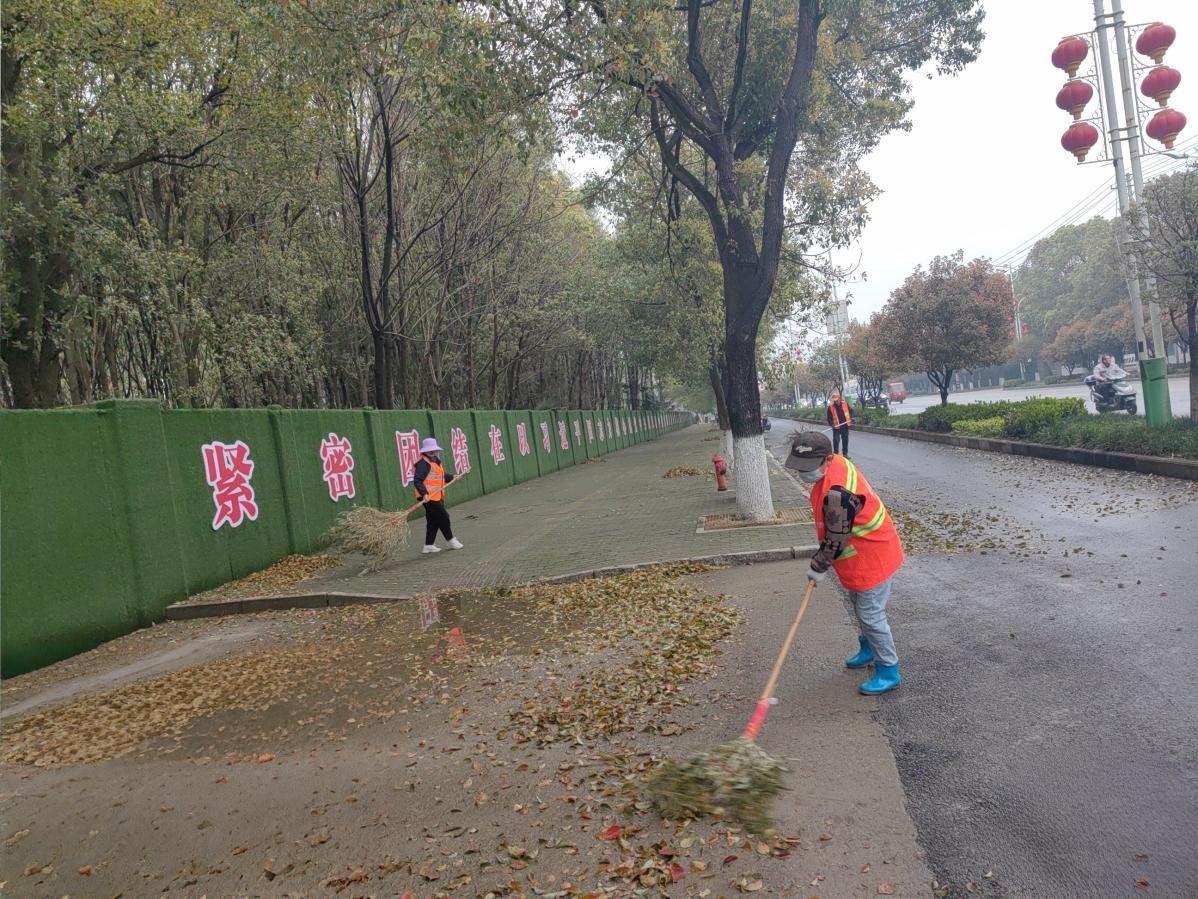 应城开展春季环境专项治理营造“靓丽”城市环境(图2)