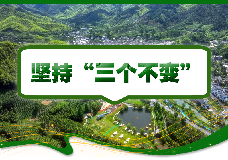 Kaiyun（中国体育）：2026年浙江省委一号文件有哪些干货、利好？这场发布会为你划重点(图1)