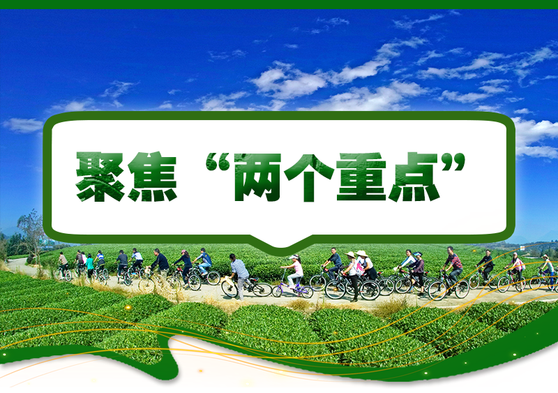 Kaiyun（中国体育）：2026年浙江省委一号文件有哪些干货、利好？这场发布会为你划重点(图4)