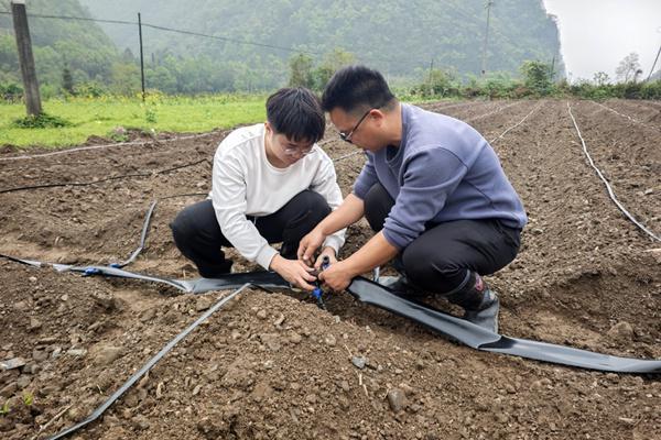 韦钦泉：青春在“金叶”沃土拔节生长(图2)