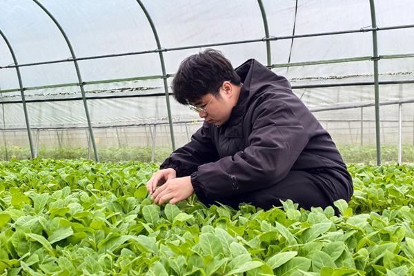 韦钦泉：青春在“金叶”沃土拔节生长(图3)